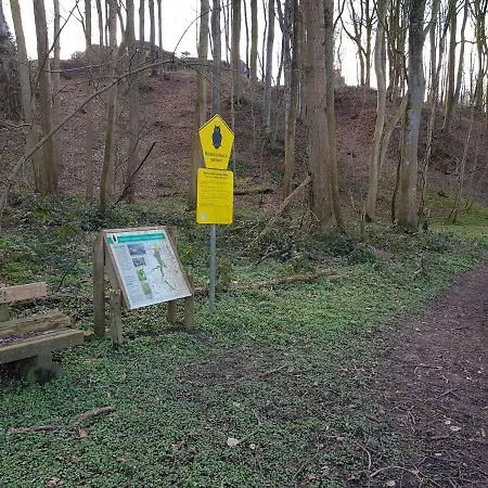 Haffblick Westerholz